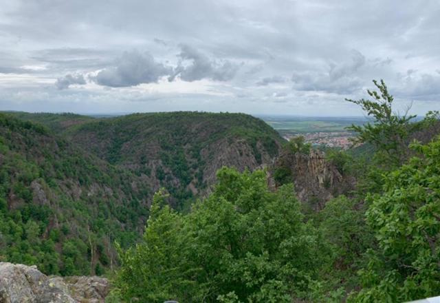 Unser Ferienhaus Im Harz Thale Buitenkant foto